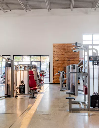 iron heart lifefitness machines