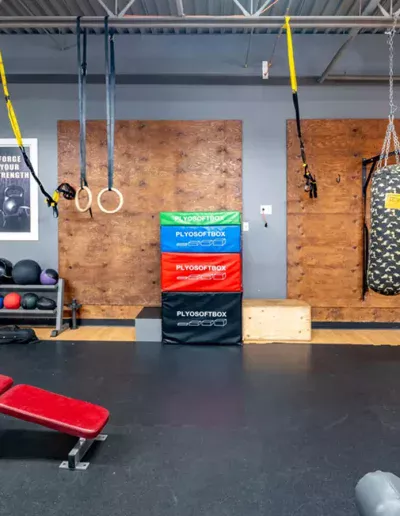 iron heart punching bag