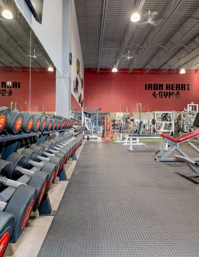 iron heart row of weights