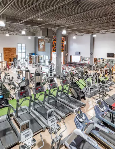 ironheart treadmills